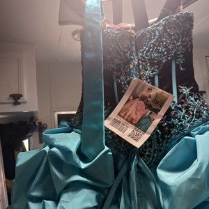 Quinceanera Gown